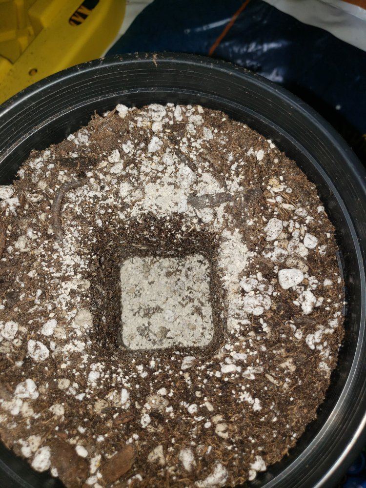 20190331 140126
