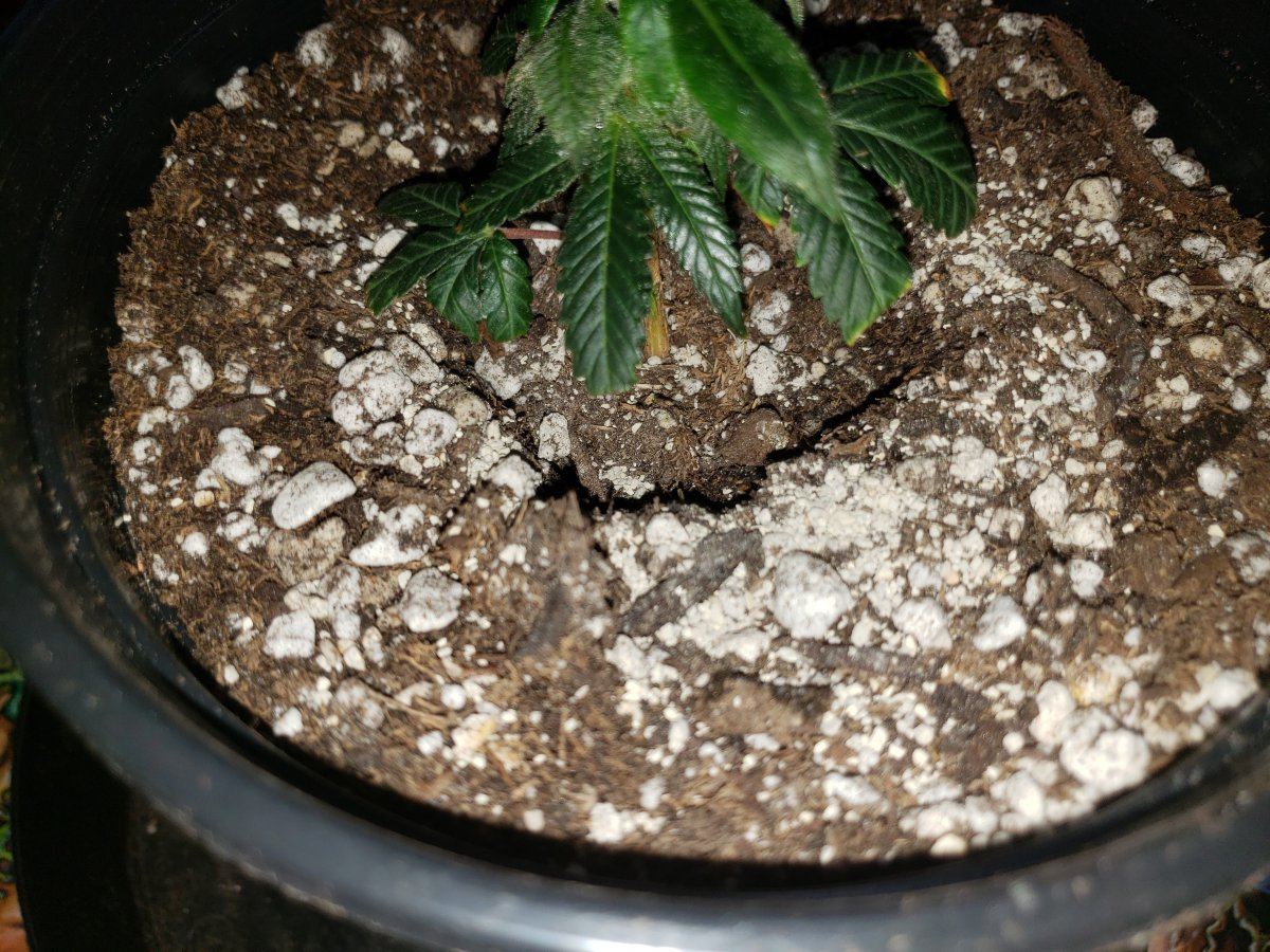 20190331 140153