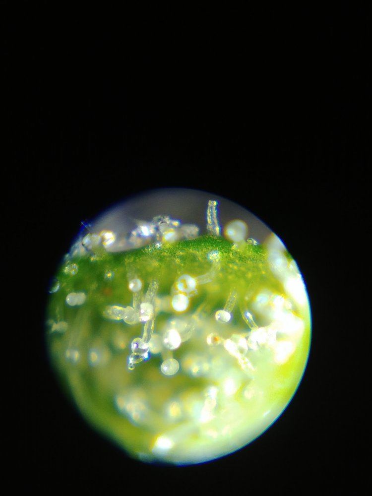 20190411 231115