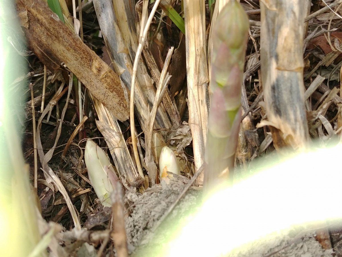 20190422 171401