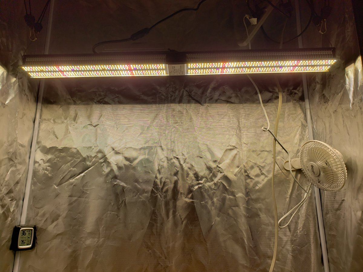 20190424 221121