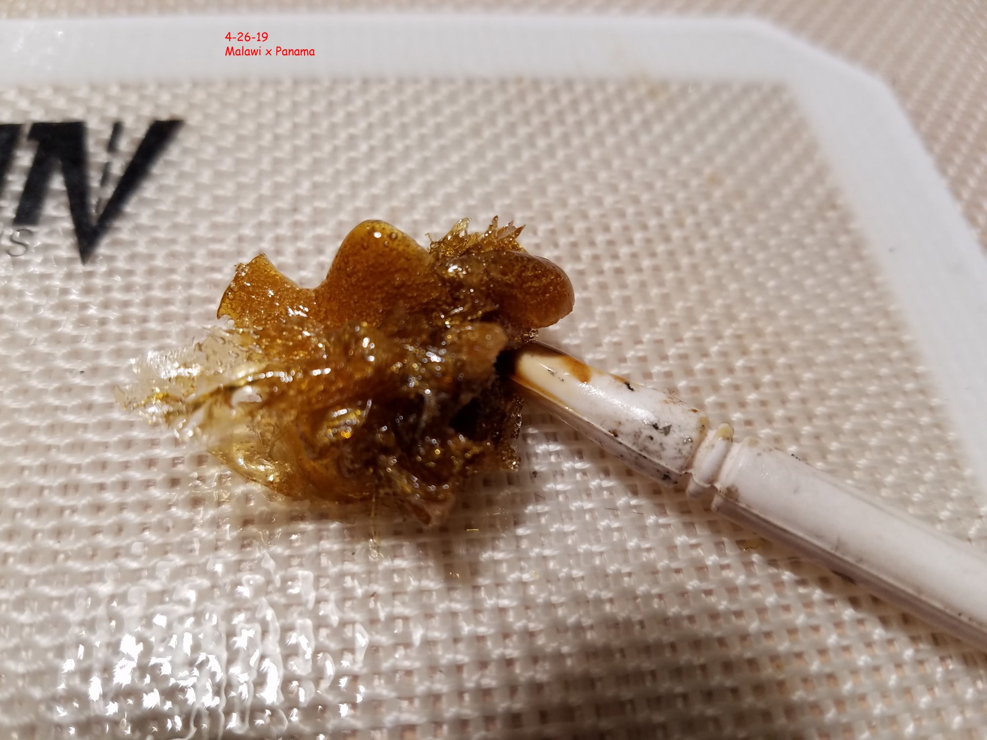 20190426 103408