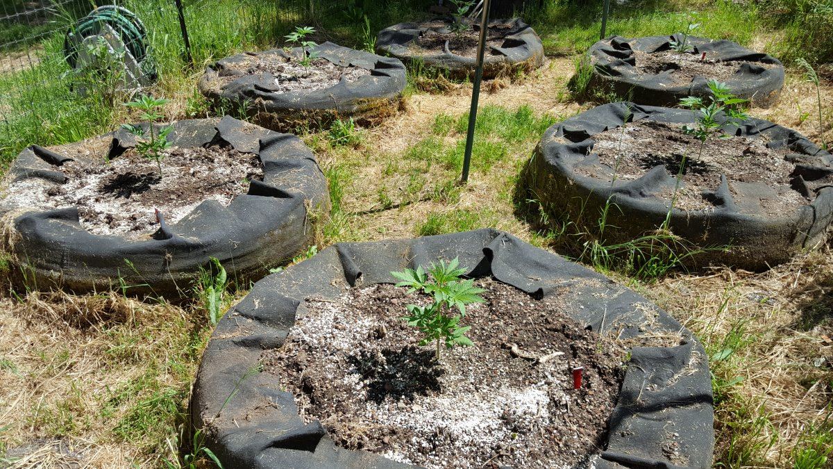 20190427 120750