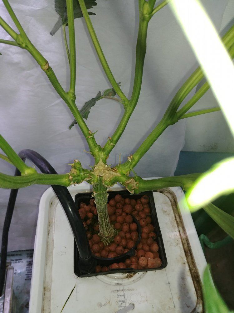 20190509 000252