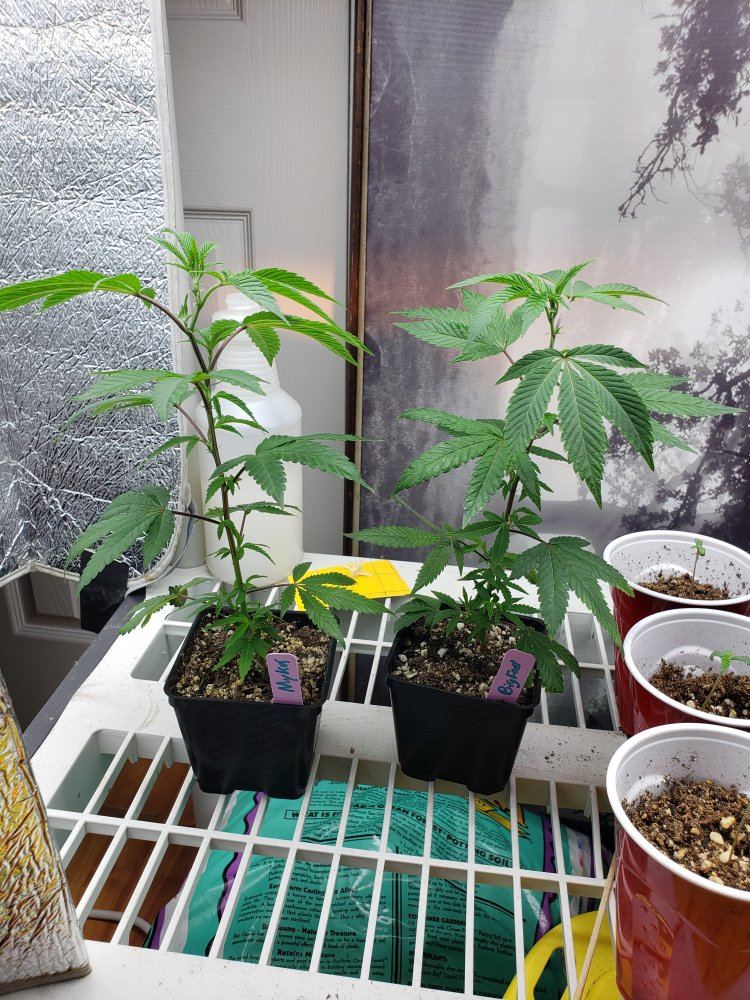 20190510 060731