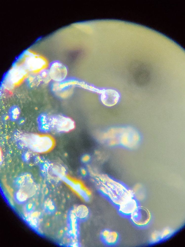 20190514 213348