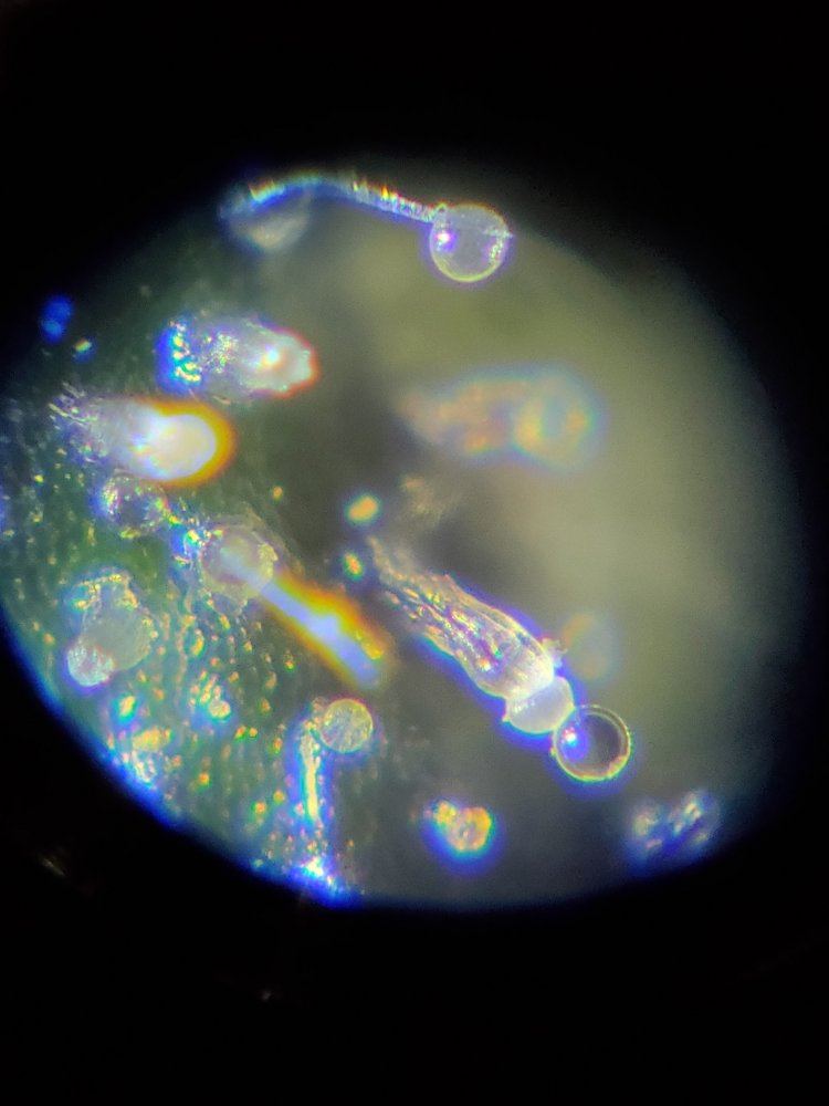 20190514 213427
