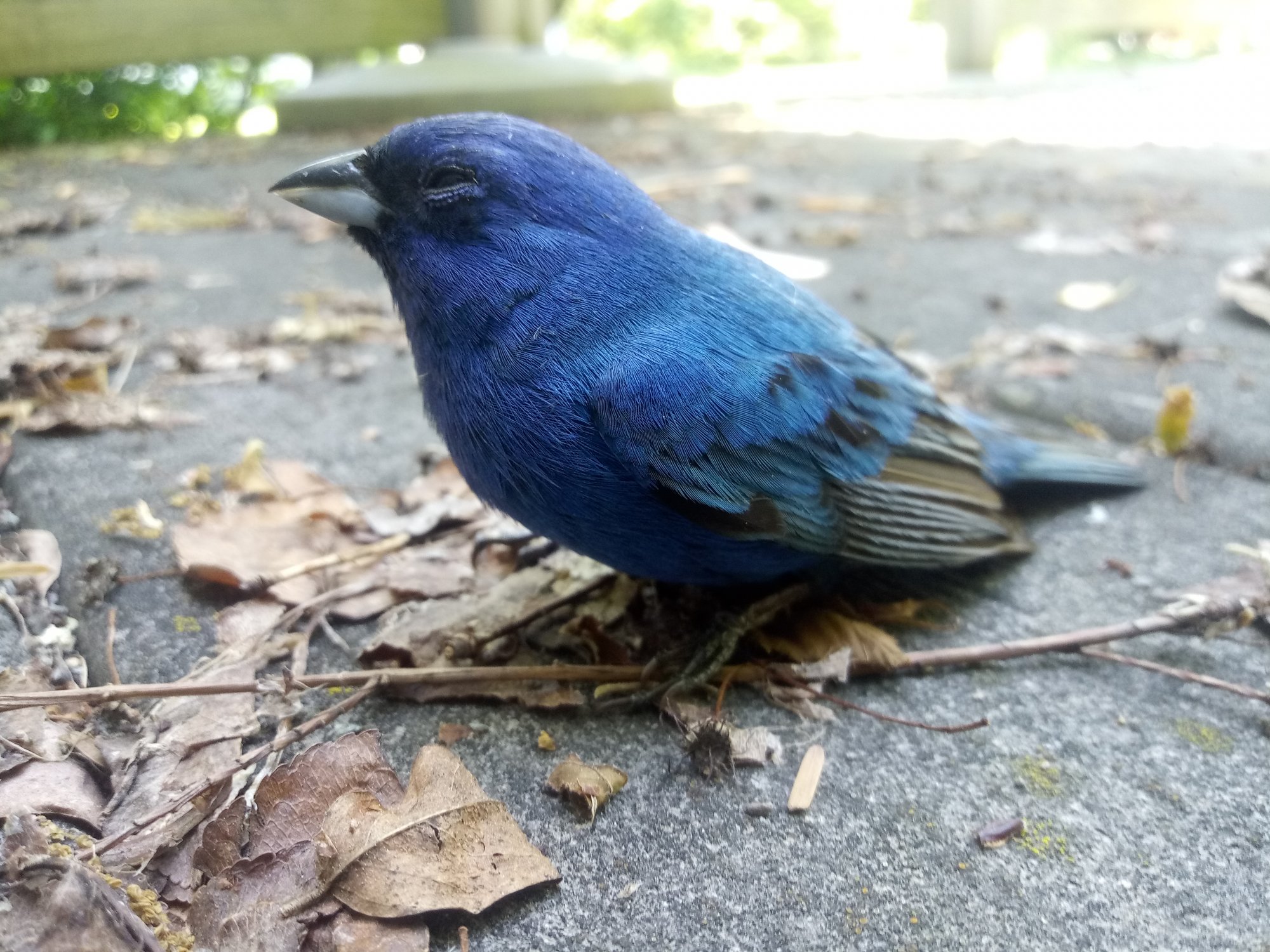 20190607 121246