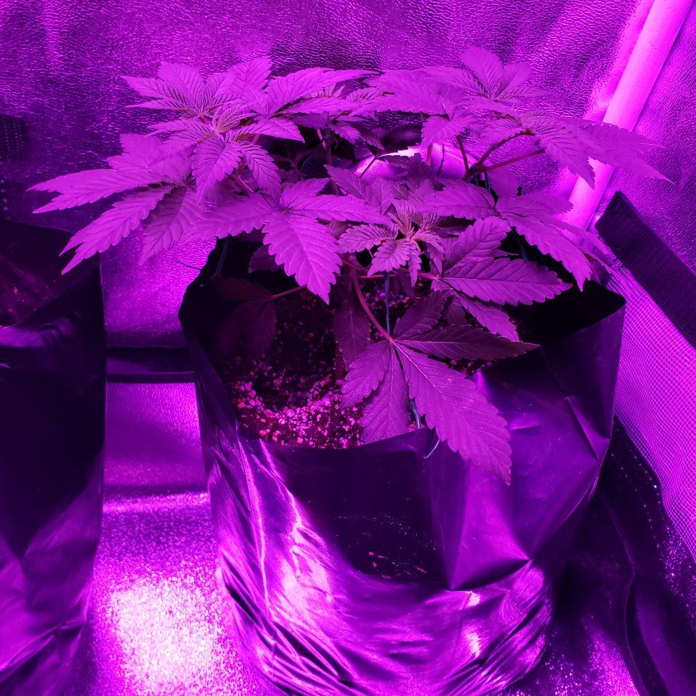 20190623 073618