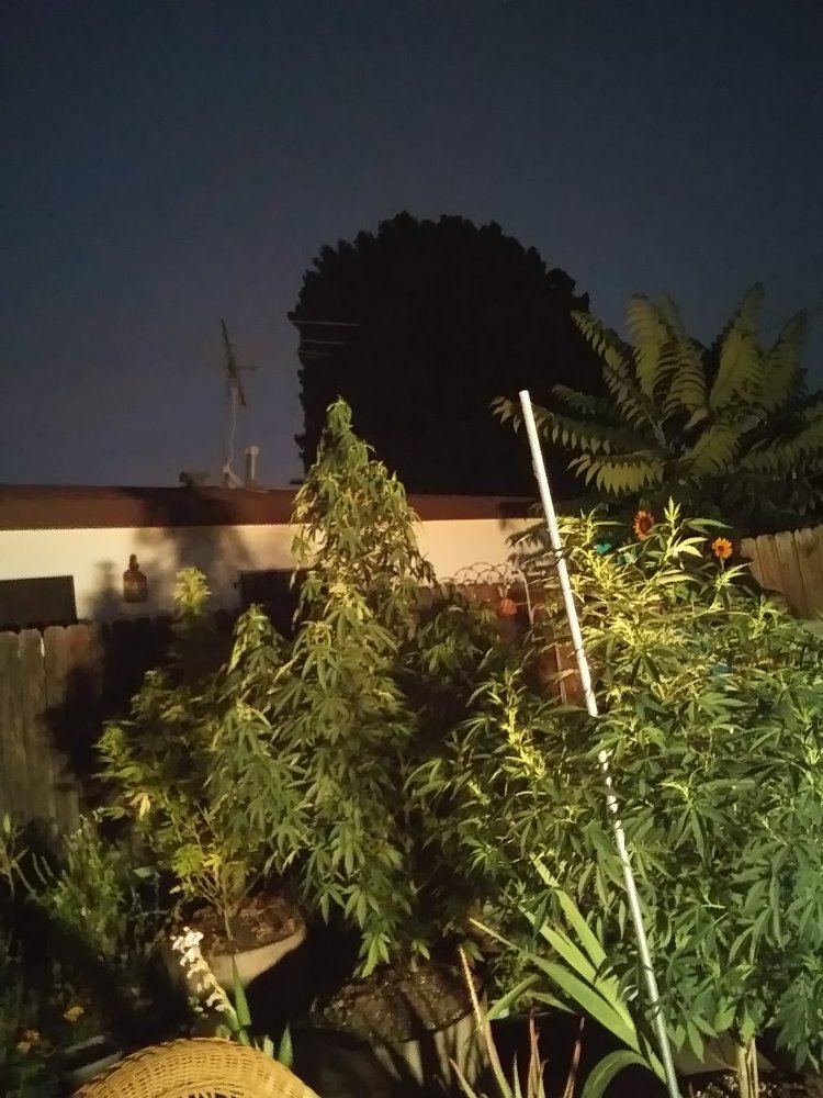 20190625 051224