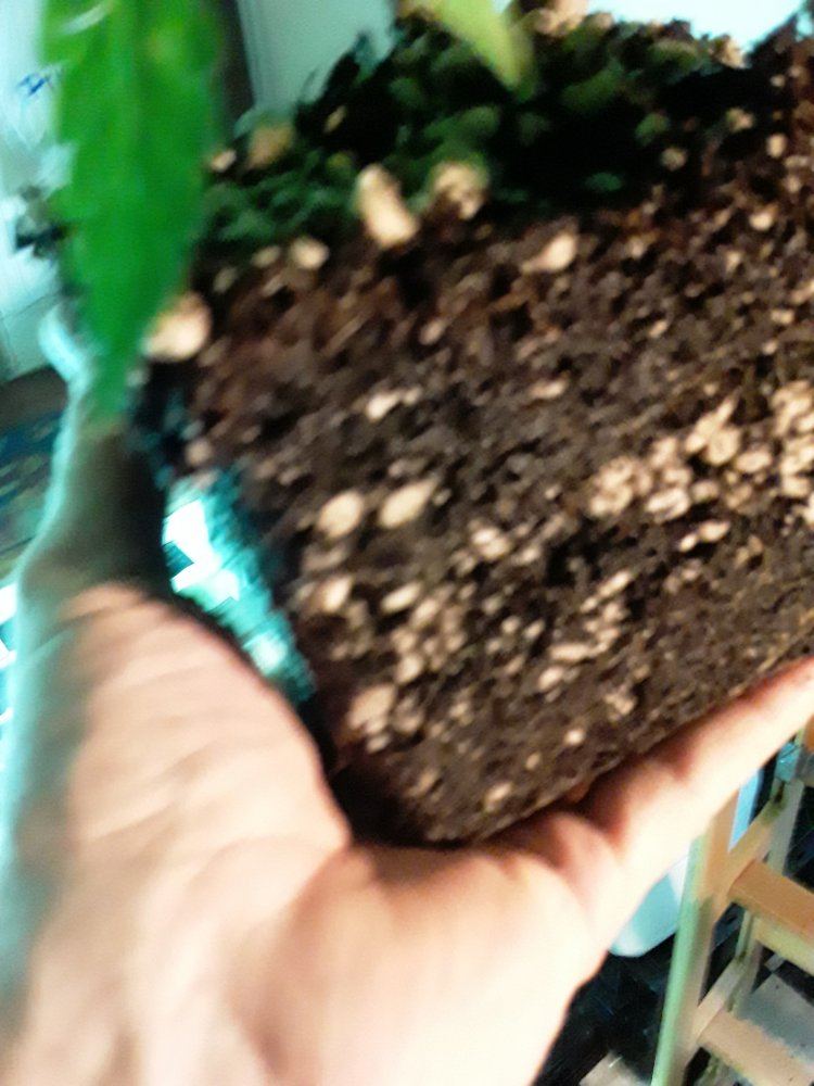 20190703 130730
