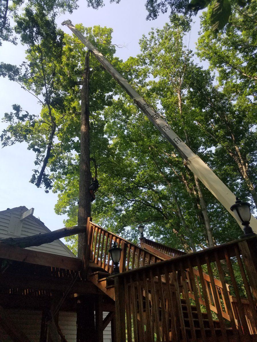 20190708 095058