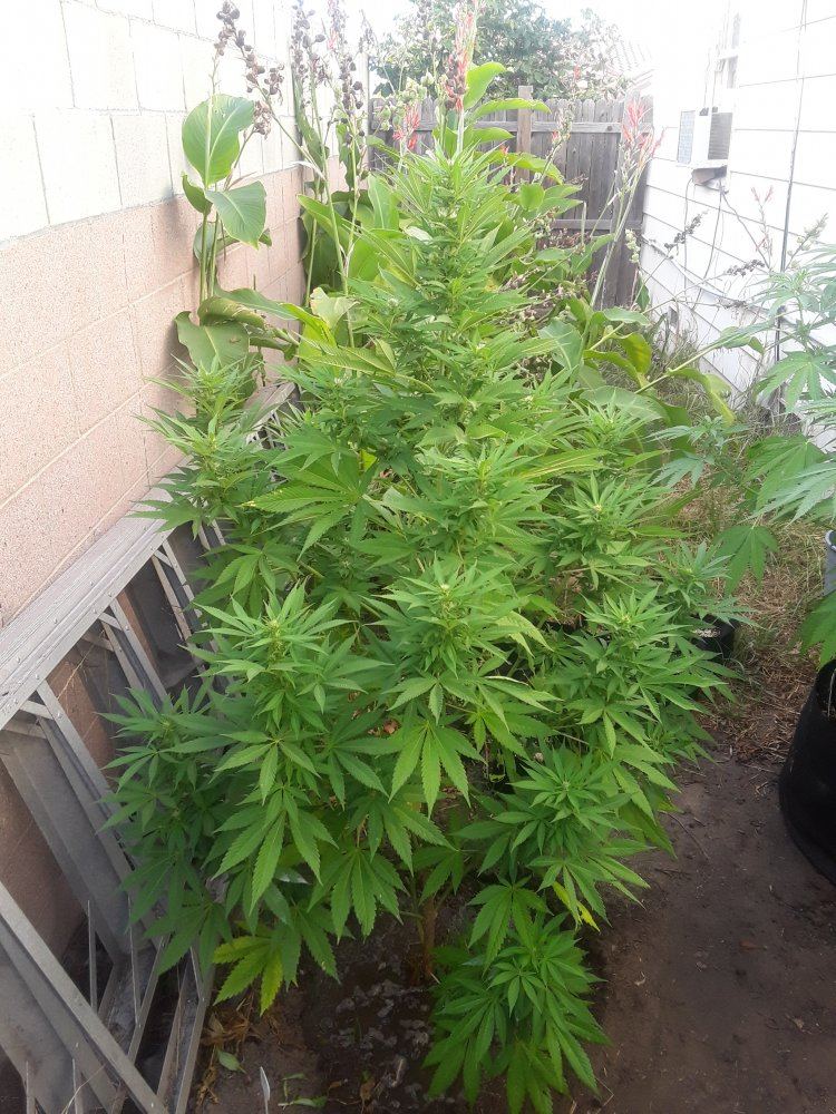 20190731 181629