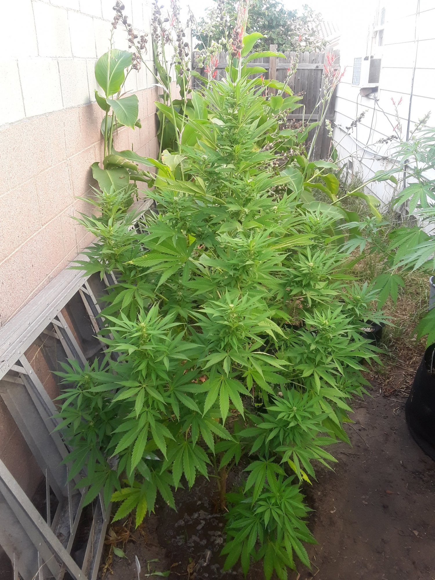 20190731 181629