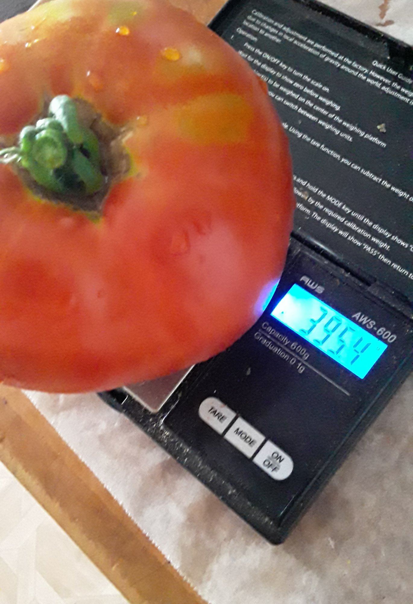 20190815 080652
