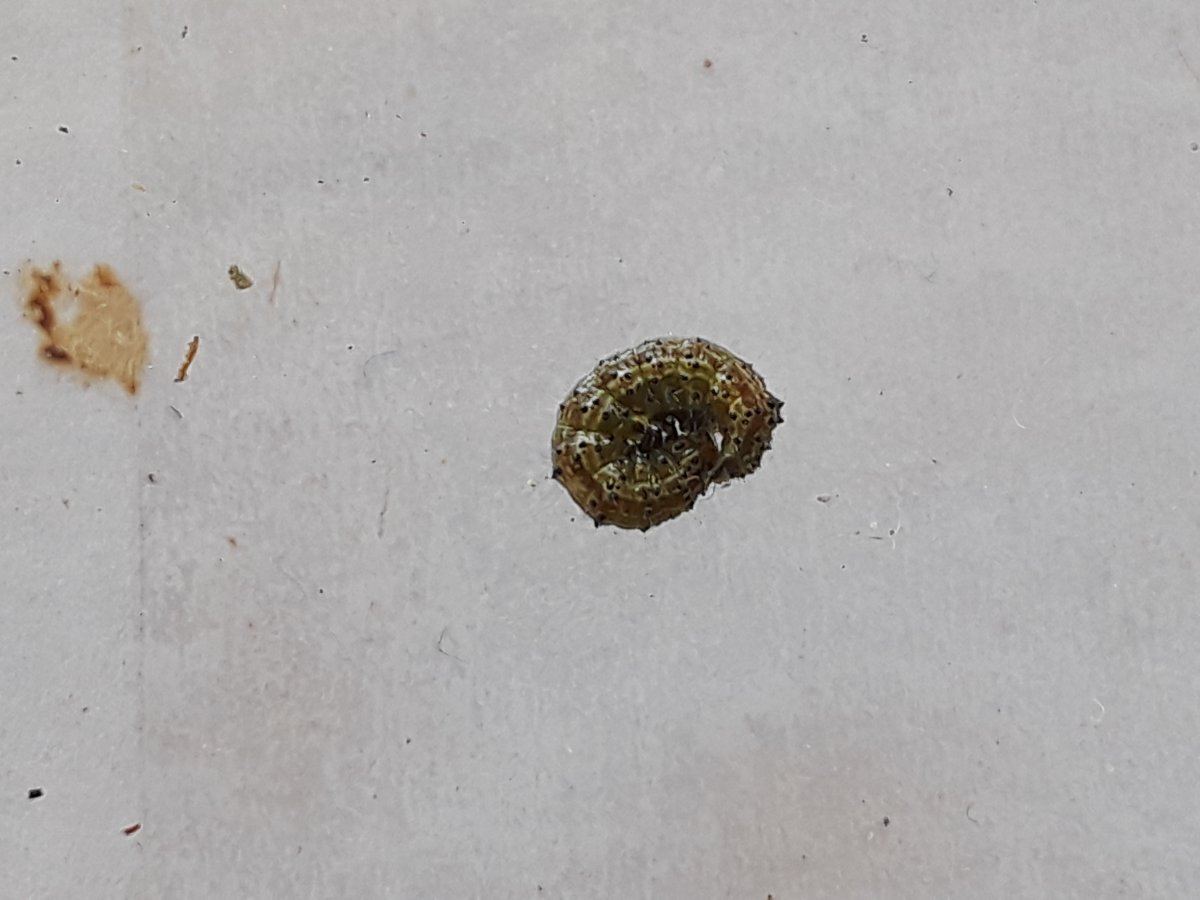 20190821 151016