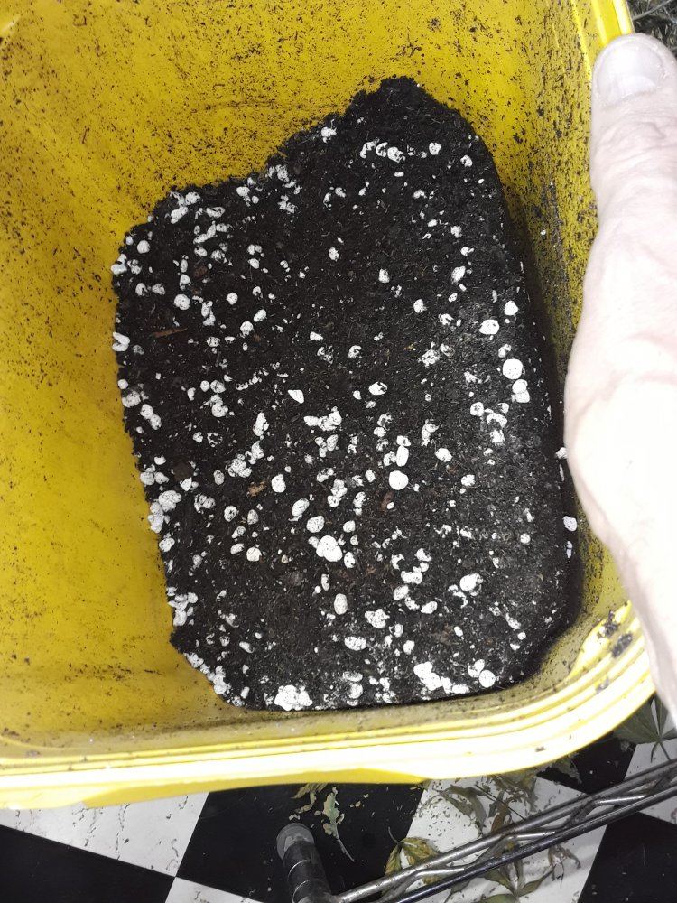 20190901 122524