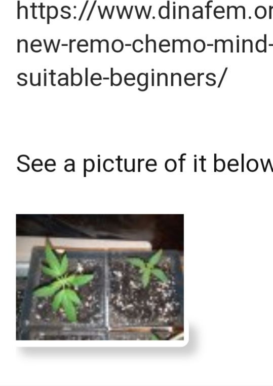 20190902 173602