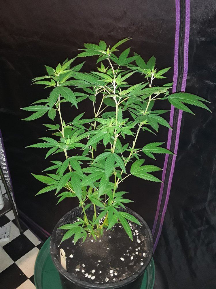 20190905 153058