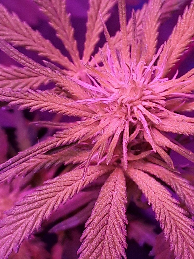 20190912 131501