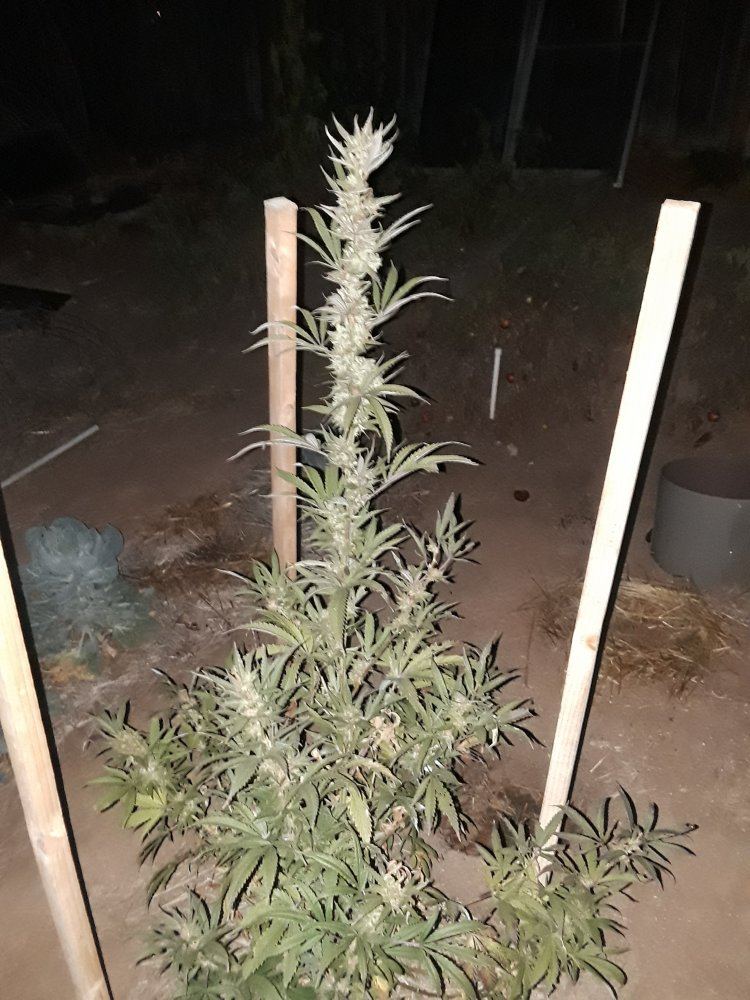 20190914 235235