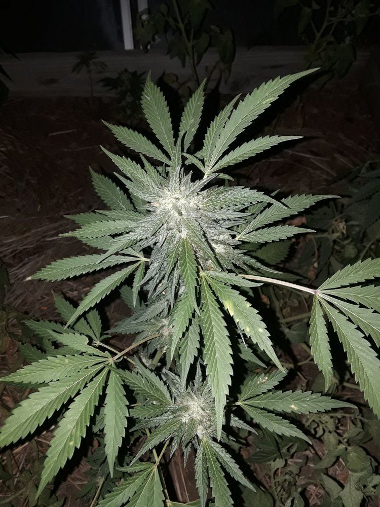 20190914 235259