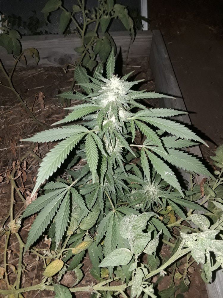 20190914 235307