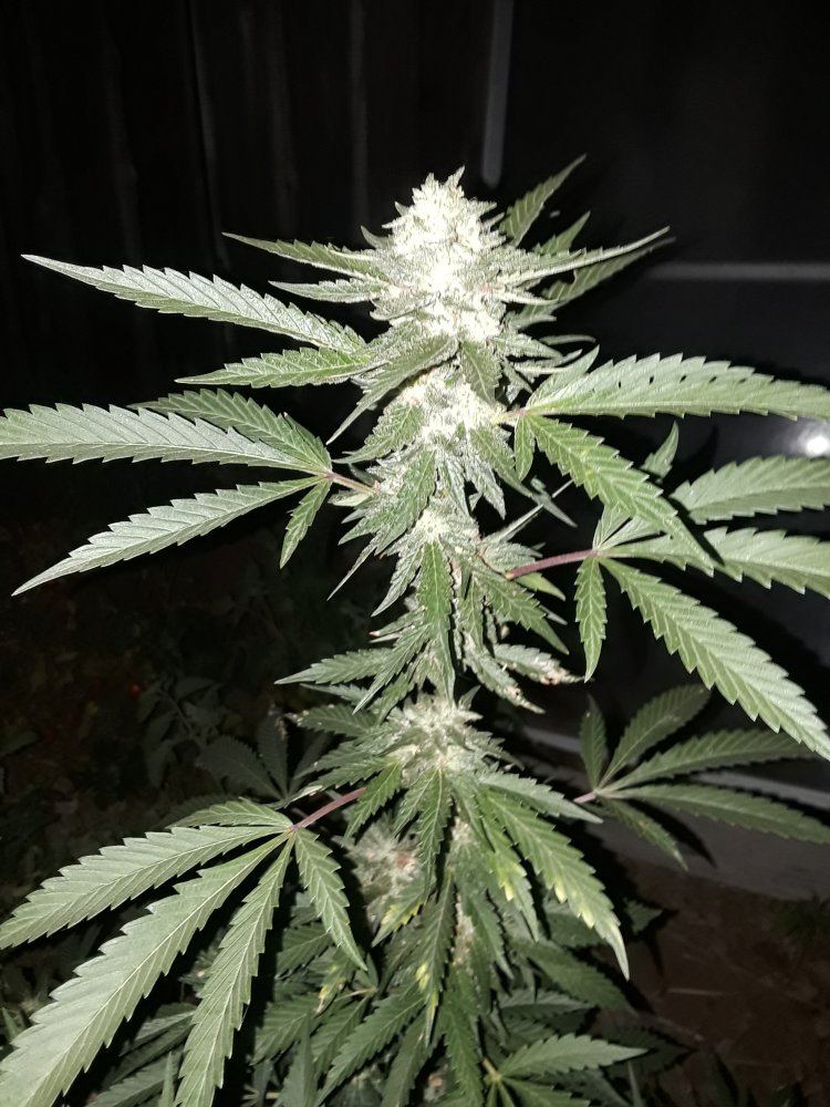 20190914 235320