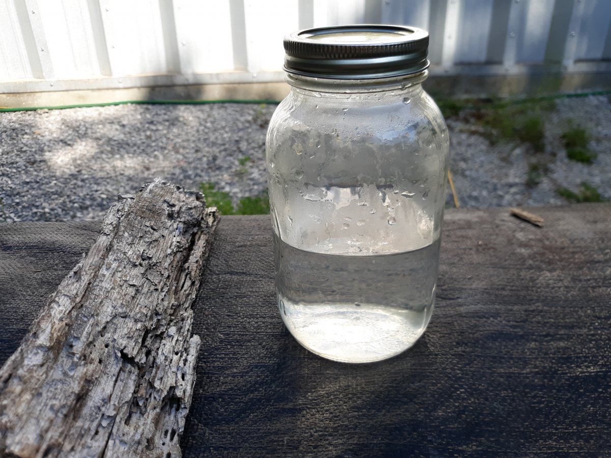 20190916 160621