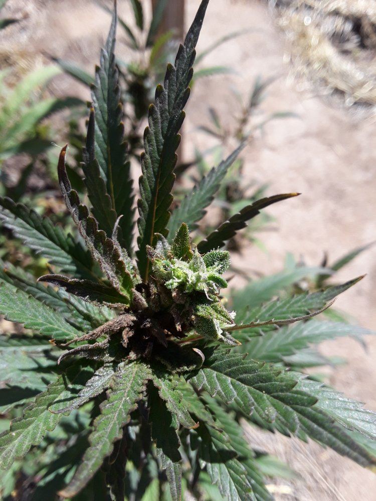 20190919 121054