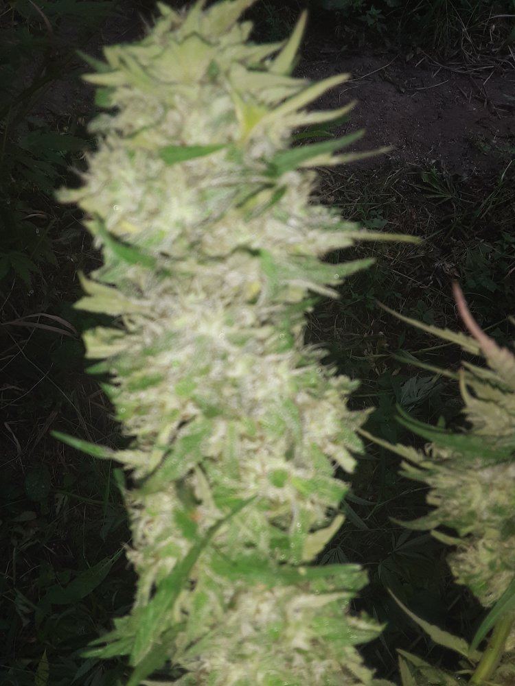 20190921 103423
