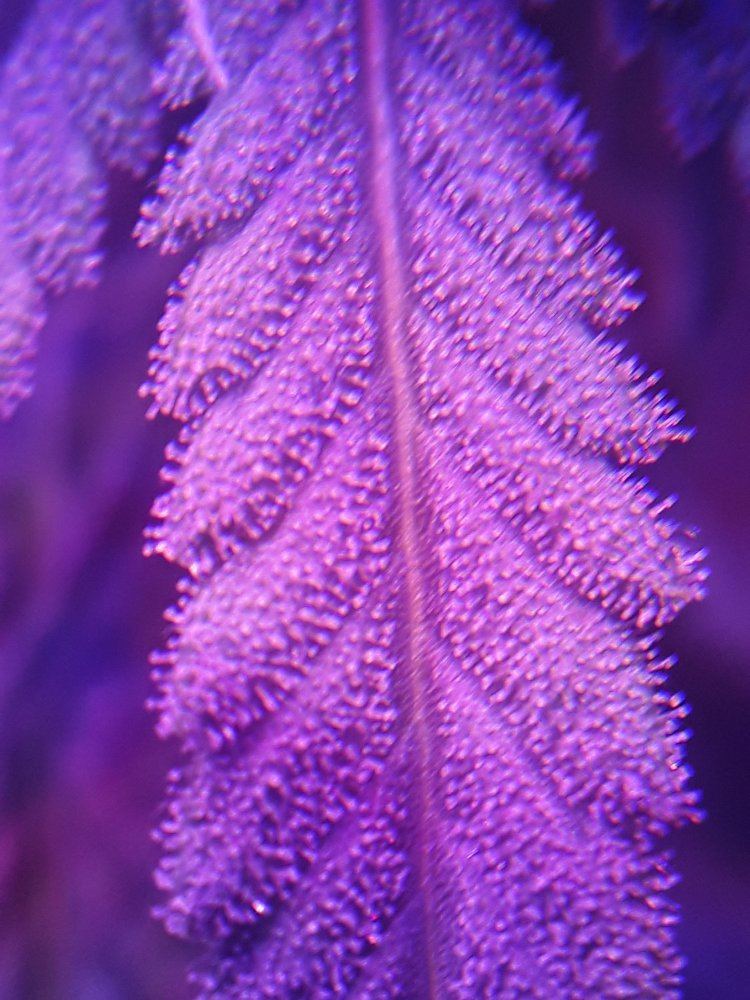 20190927 171550
