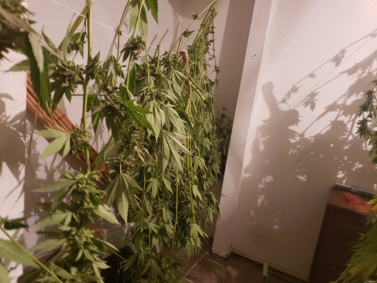 20191005 004404
