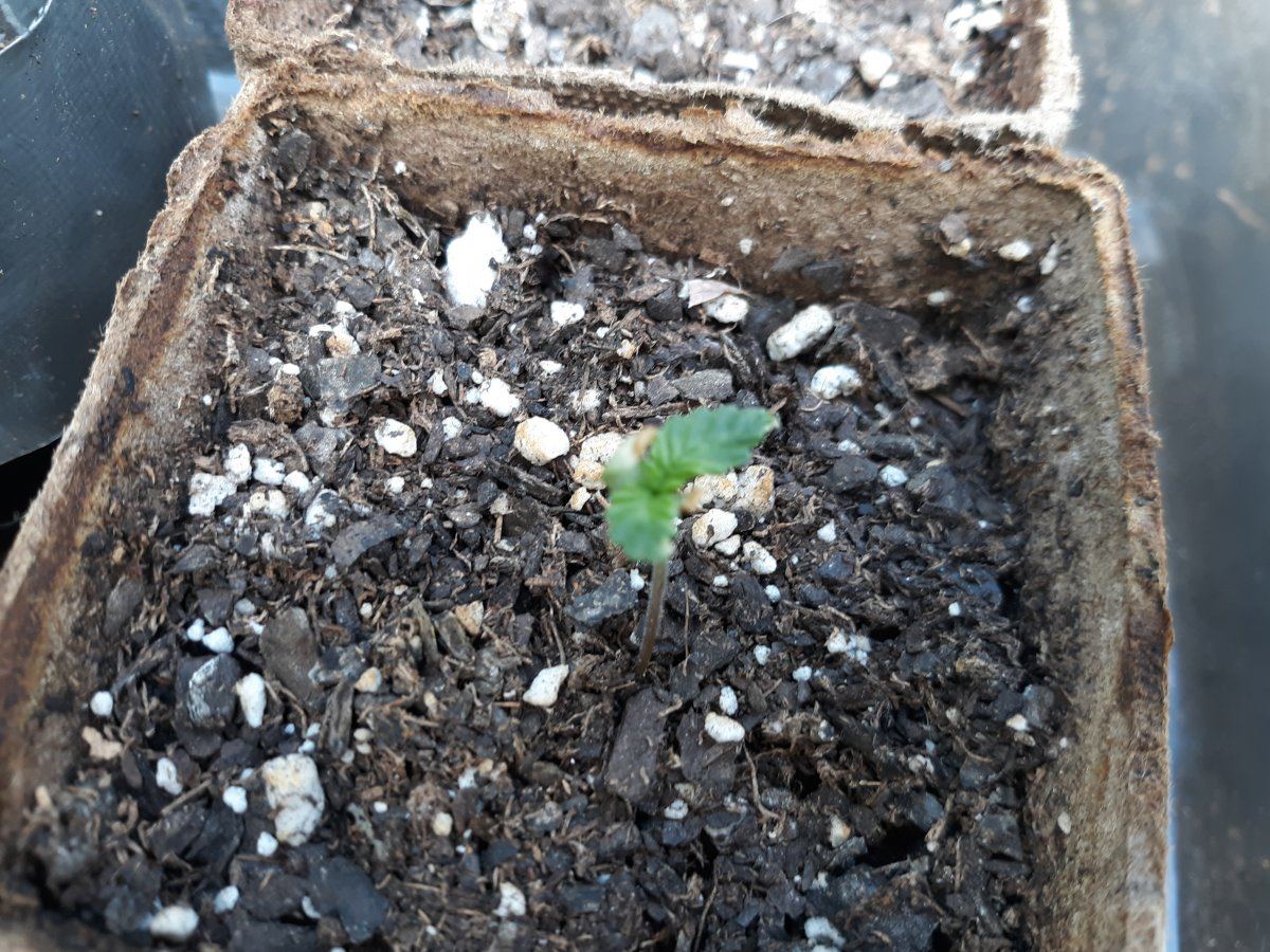 20191005 140130