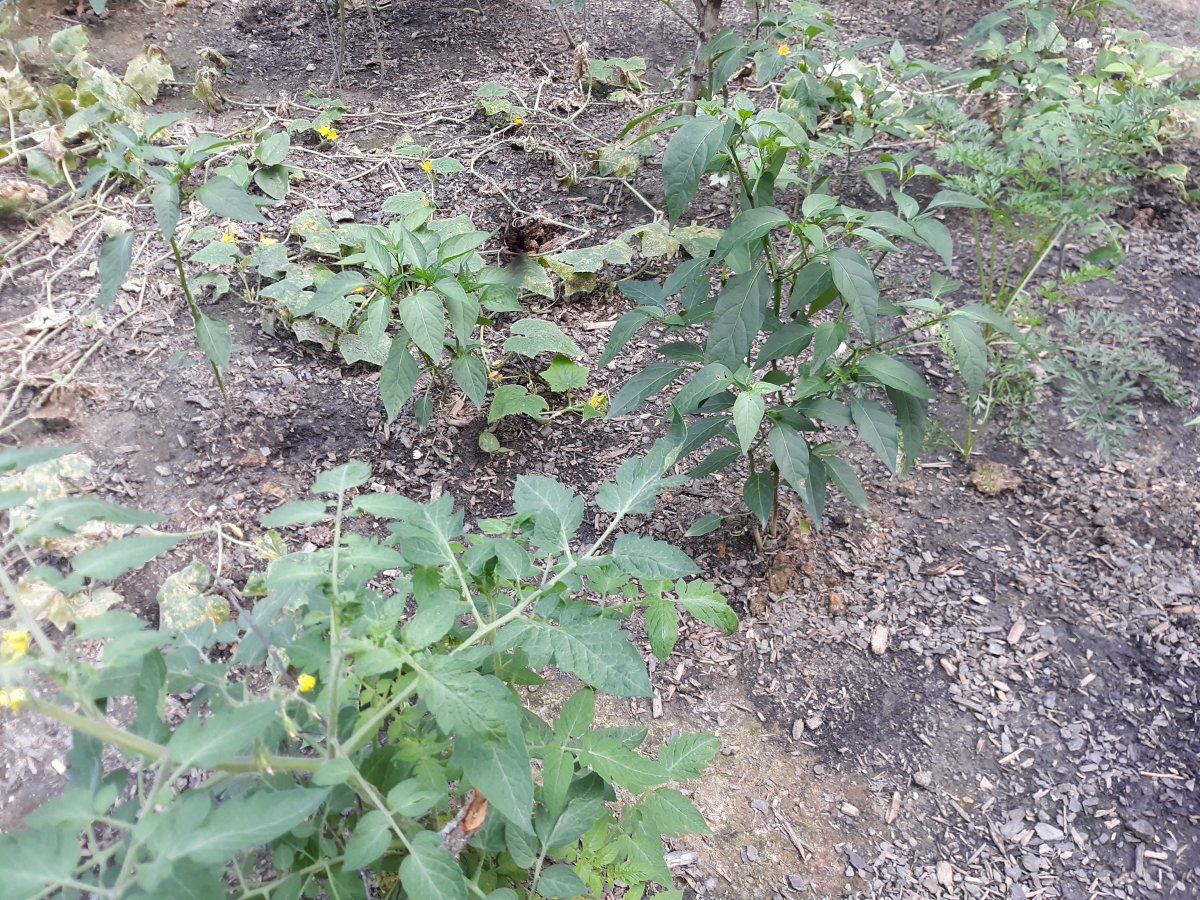 20191005 143800
