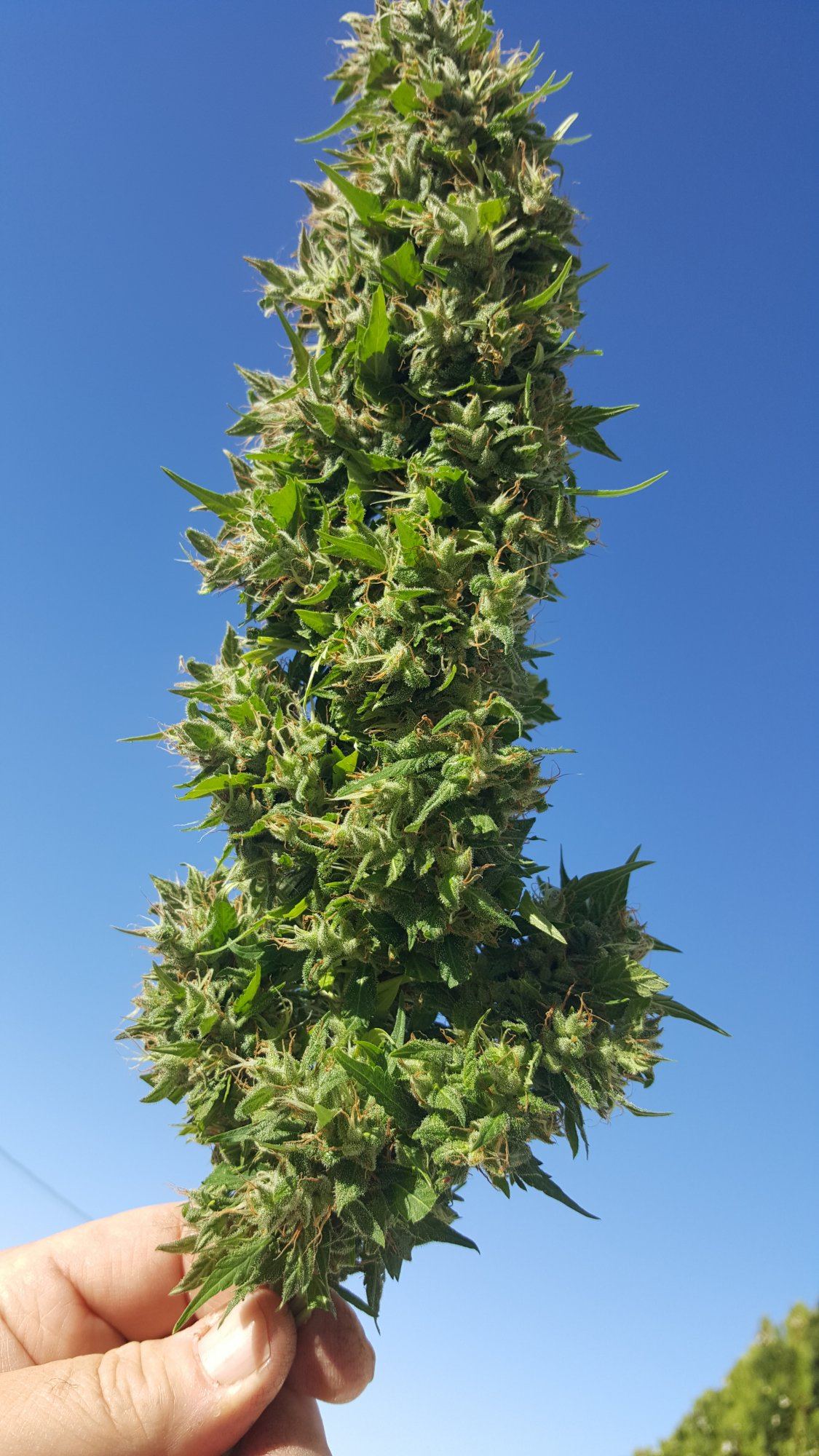 20191009 082339