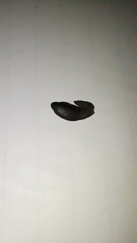 20191013 180854