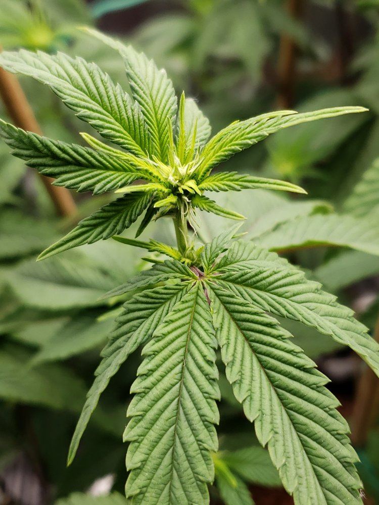 20191024 083735