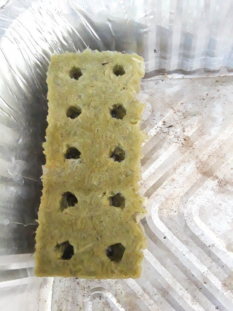 20191026 165843