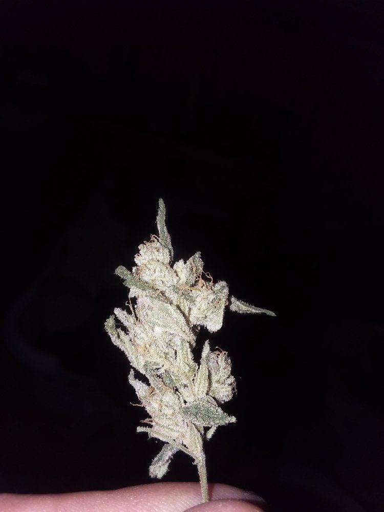 20191030 205616