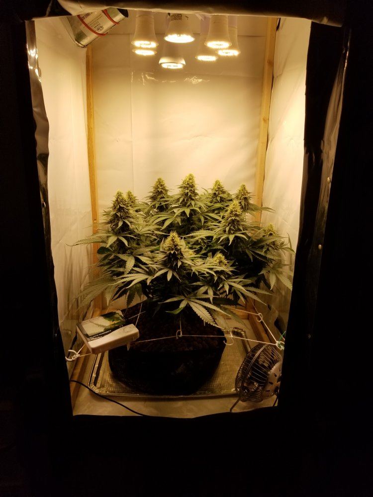 20191101 094758