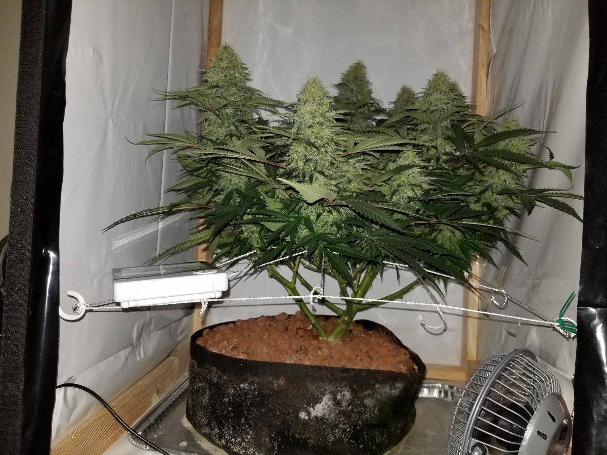 20191101 094904