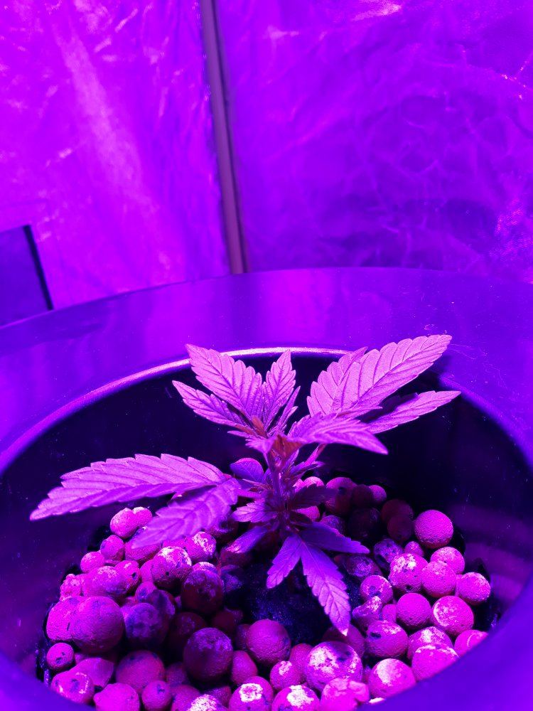 20191102 154544