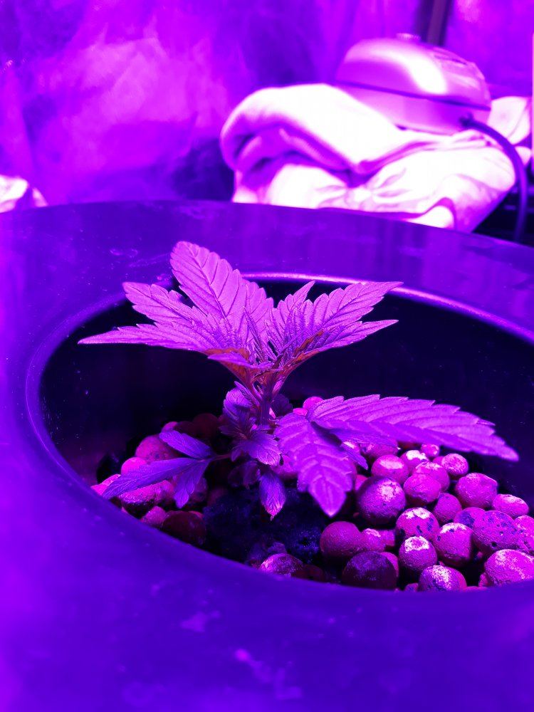 20191102 154556