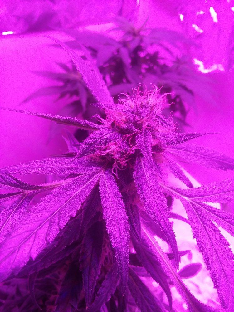 20191103 105934