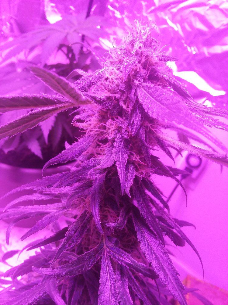 20191103 105942