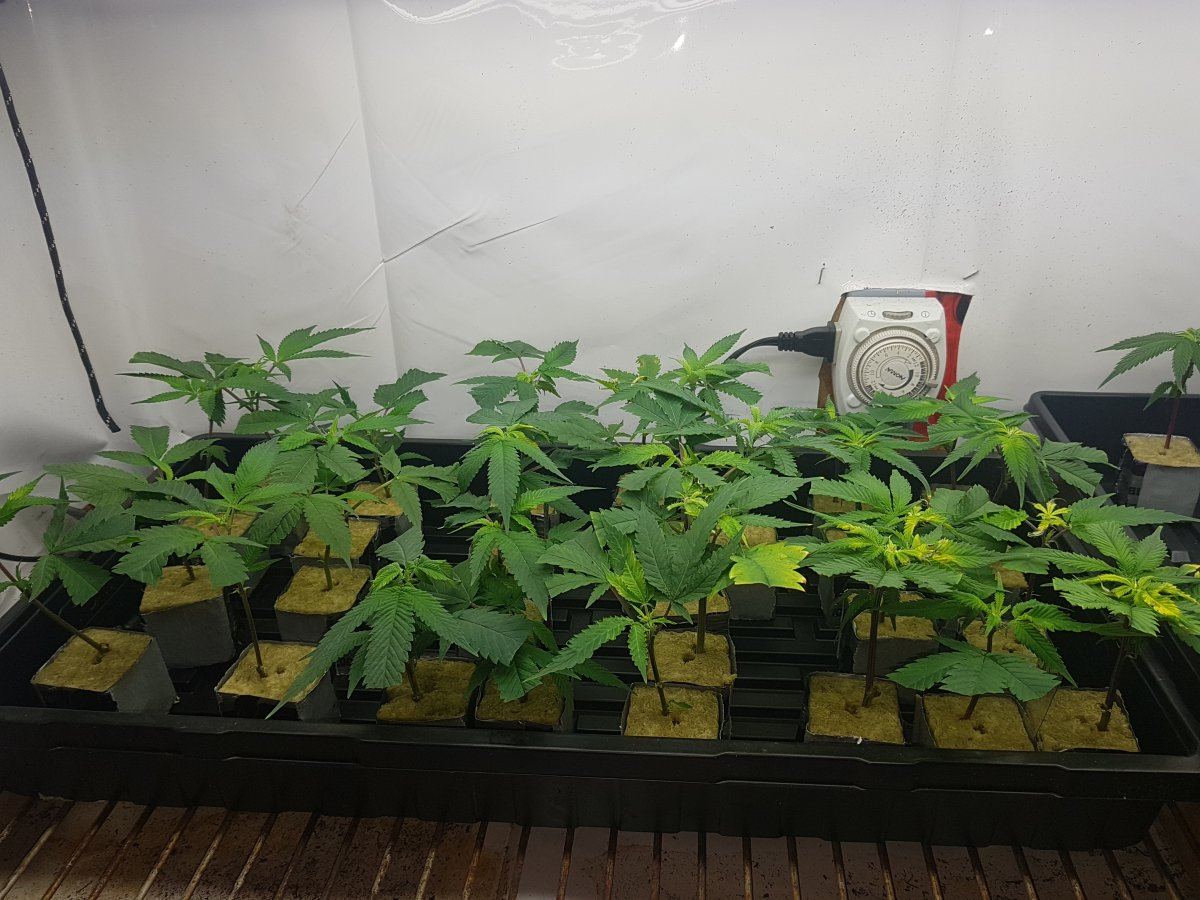 20191104 155050
