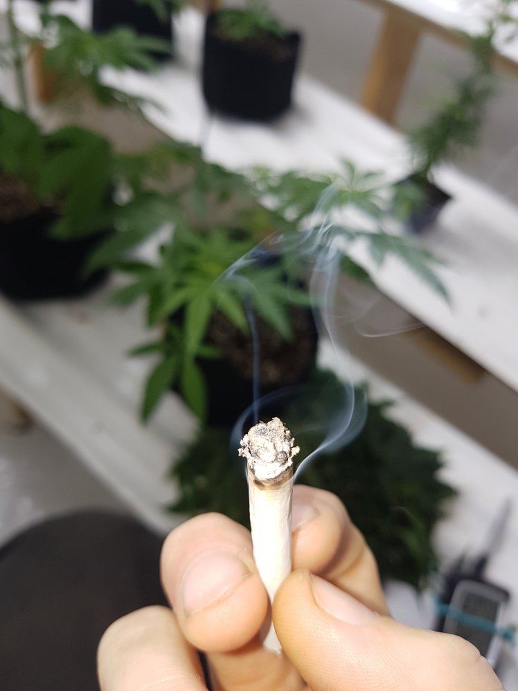 20191105 090214