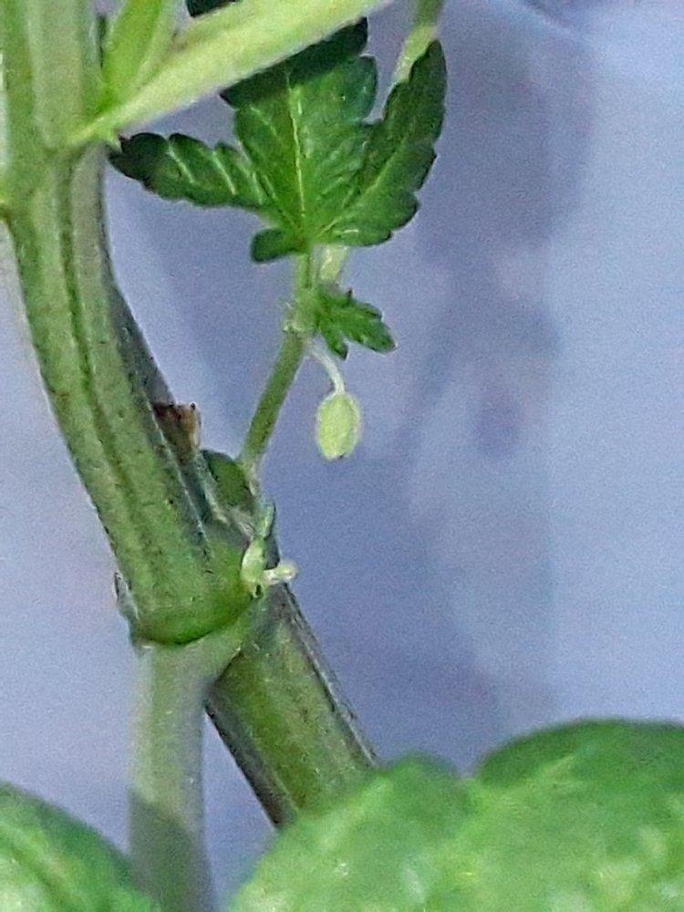 20191105 091844