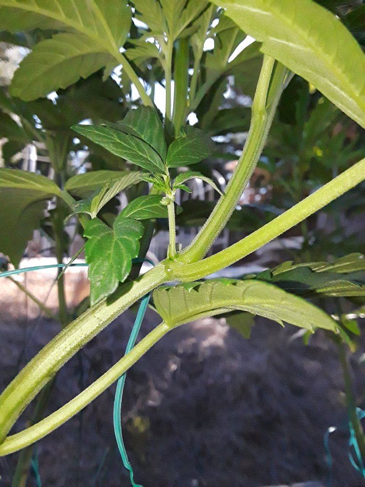 20191105 094710